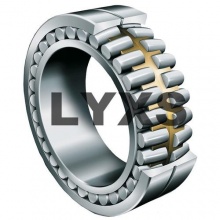 双列圆柱滚子轴承|圆柱滚子轴承|产品展示|洛阳鑫世轴承制造有限公司